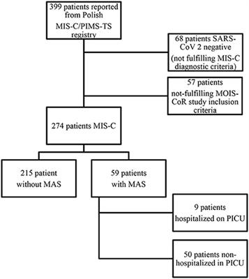 Clinical characteristics of children with MIS-C fulfilling classification criteria for macrophage activation syndrome